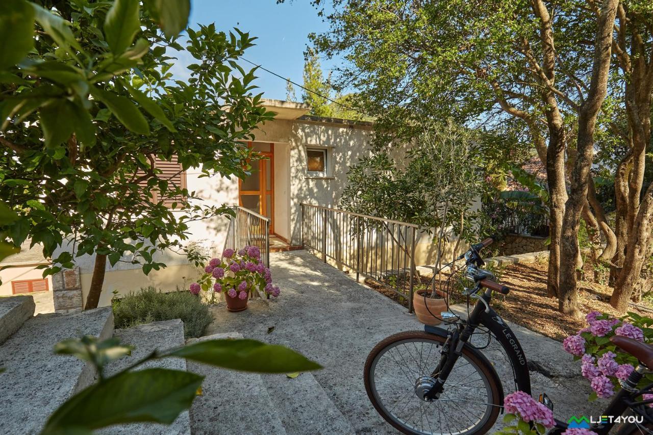 Apartmán Mljet 4 - Seafront Sobra